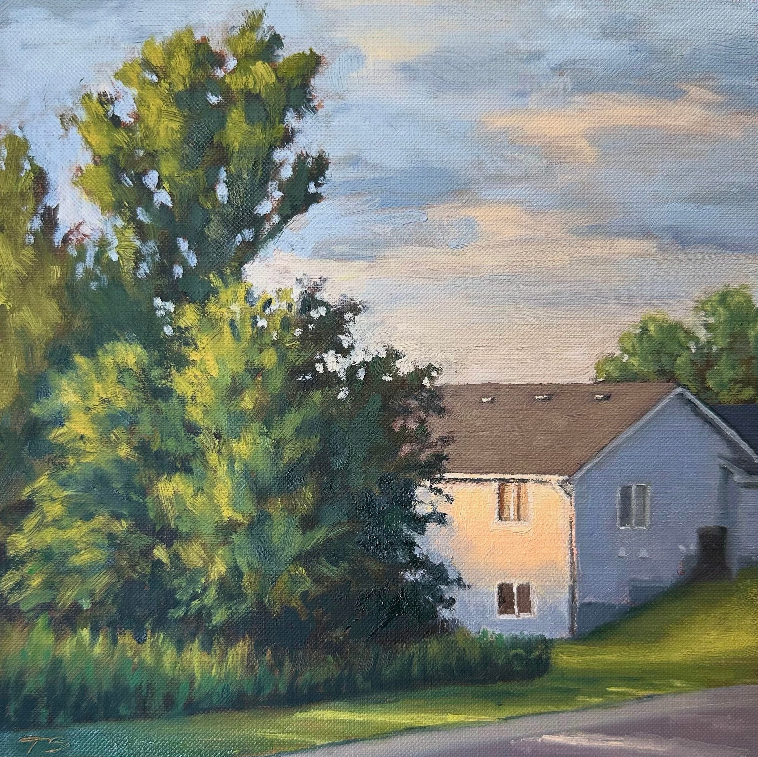 Suburb Evening