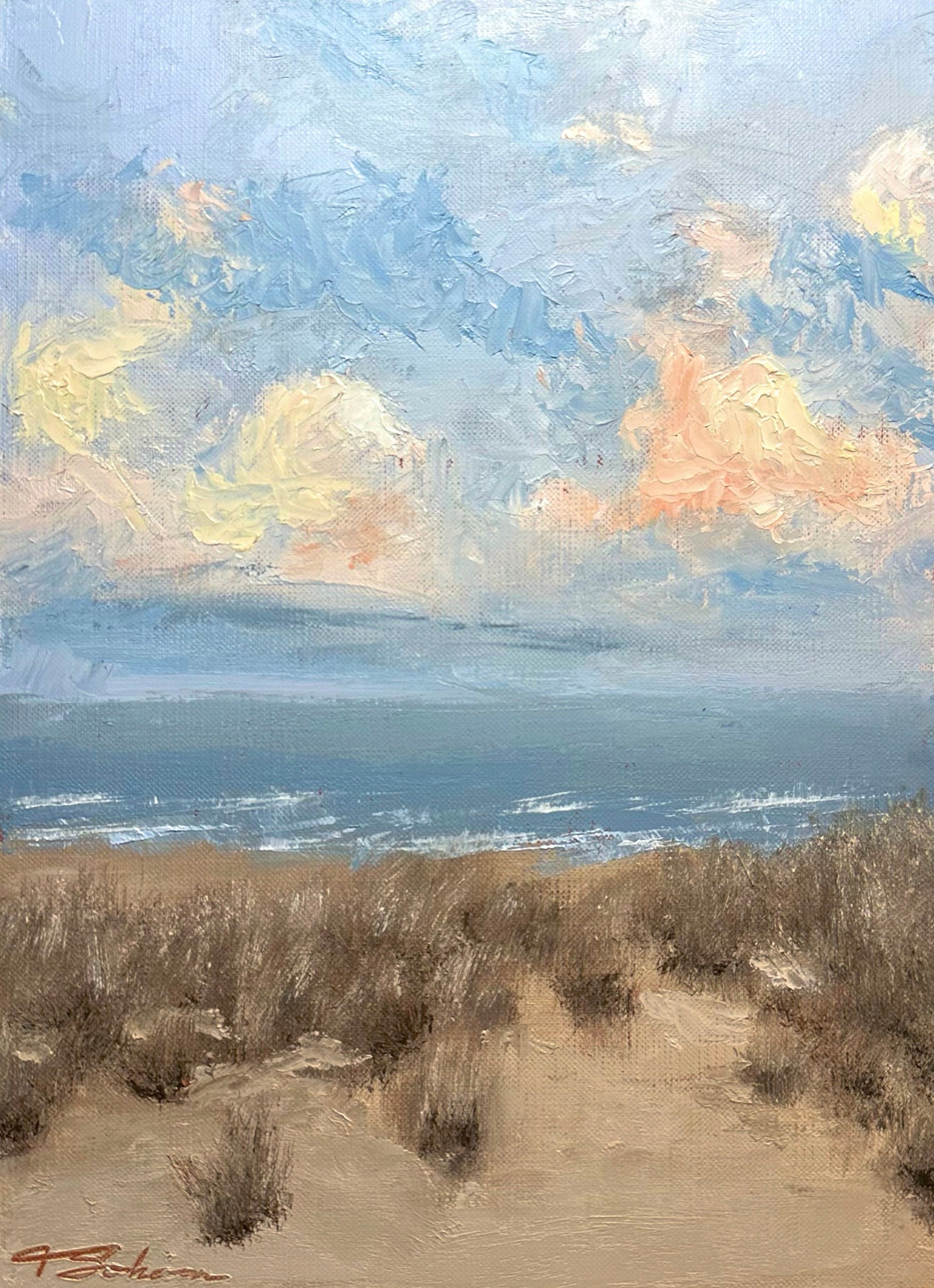 Beach Grass Under Ocean Clouds
