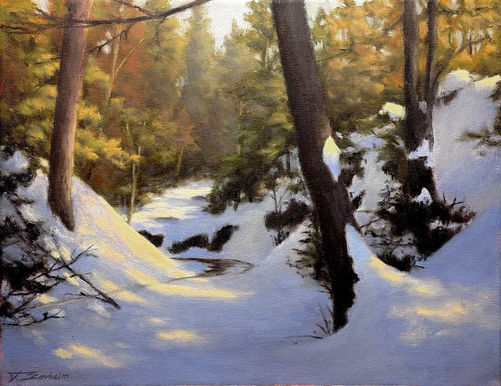 Creek Through Winter Forest