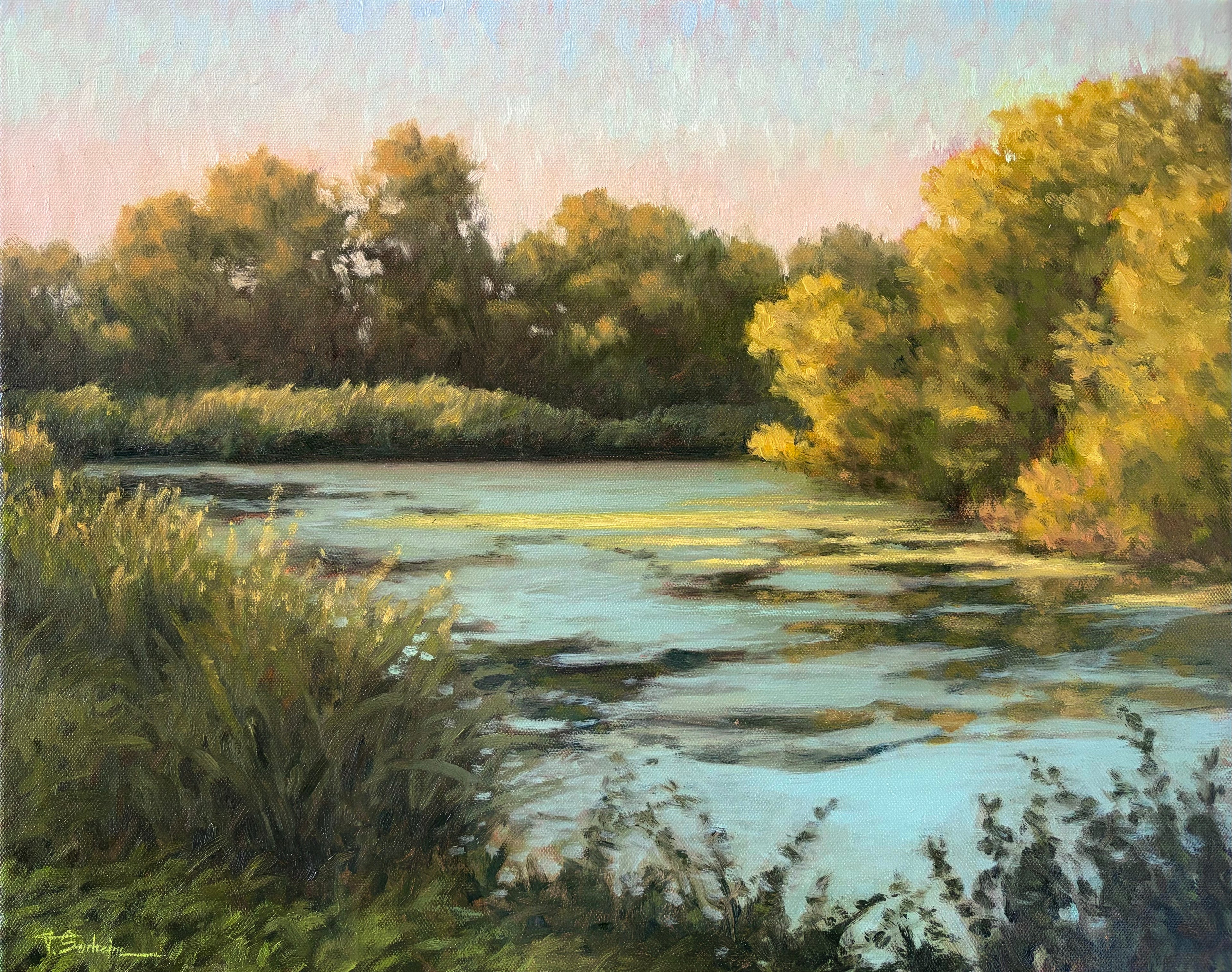 Park Pond