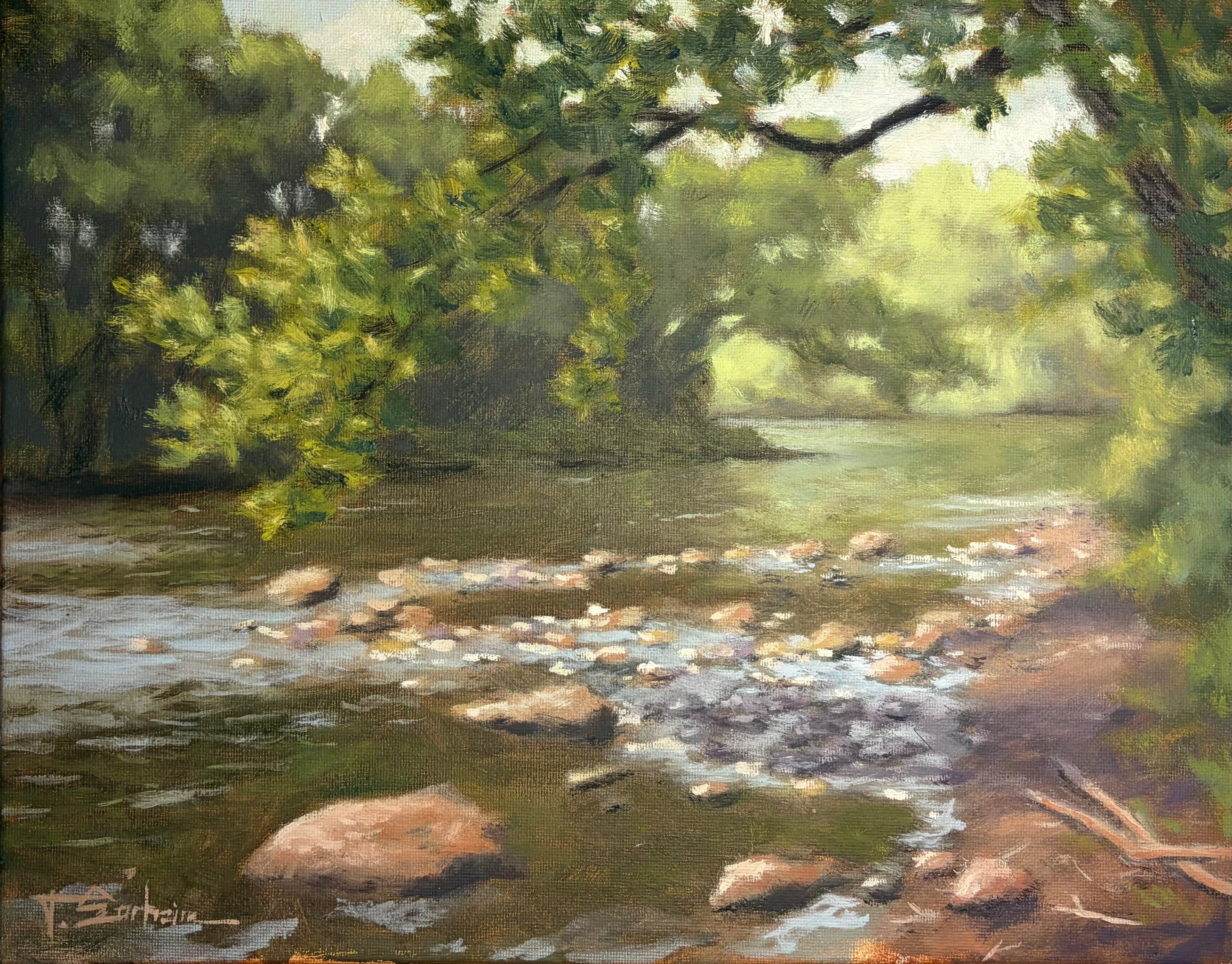 Bailey Point
