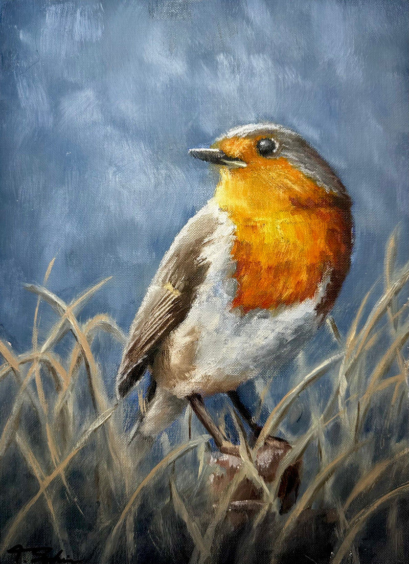 Orange Bird In Tall Grass