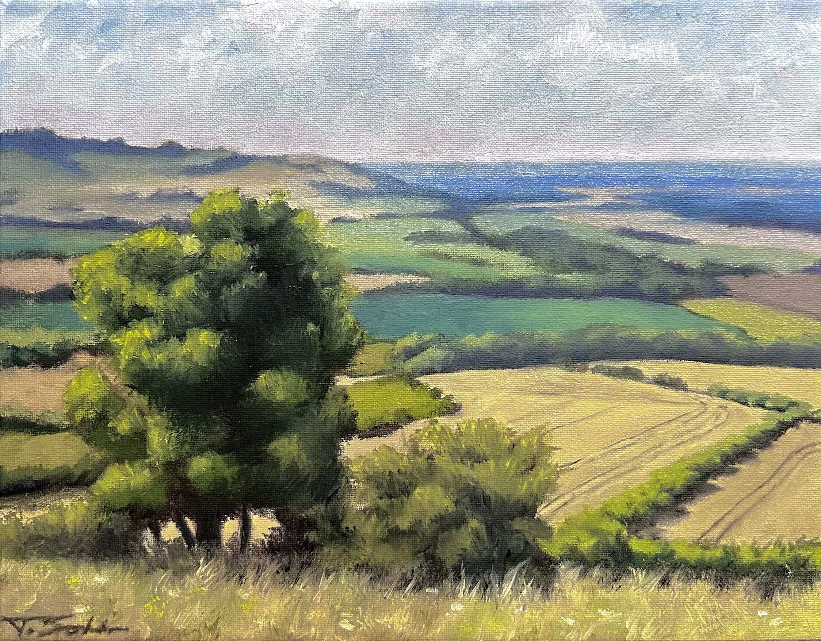 Warm Field